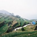 가천다랭이마을 이미지