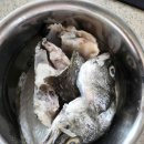 바다풍경펜션도시어부 이미지