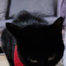 명덕양꼬치 이미지