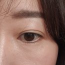 네일아드망 | 하남 미사 속눈썹 러시안볼륨 연장 후기 @비엘아드망