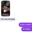 지금이 푸른 봄 ♪