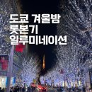 도쿄 일루미네이션 후기 롯본기 힐스 케이키자카 일정 가는방법 방문 꿀팁