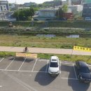 나능이버섯백숙 이미지