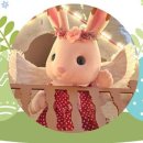 경주바니베어박물관 이미지