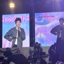 영남대축제 이미지