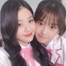 부비부비