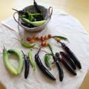 당포초등학교 이미지