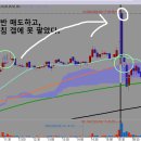 디티코리아 이미지