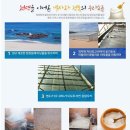 울진토염