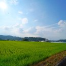 효자농장 이미지