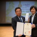 그린시티 이미지