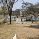 쿵이네 펫세상 이미지