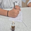 궁남초등학교 이미지