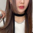 살롱디데이
