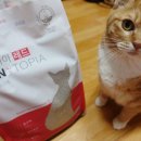 (주)랩토피아 이미지