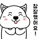 가은메디칼 네이버블로그