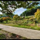 봄여름가을이야기 이미지