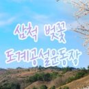 도계칼국수 이미지