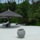 비즈시스 이미지