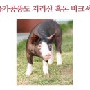 지리산흑돈 - 진주시 진성로464번길 22 | 지리산흑돈