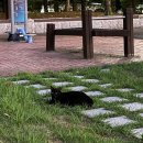 진주돈까스 이미지