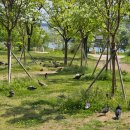 용산-이촌-495 이미지