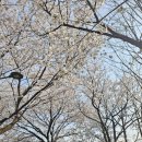 못된 강아지 | 방문 체험단 불친절 대처법 및 후기 / 권선징악은 있다