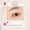 1년 만에 다시 찾은 성수·건대 속눈썹펌 누네솜 후기