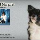 윈터펠 치와와 이미지