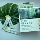 유당없는 내추럴힐 식물성 유산균 섭취후기