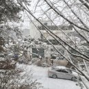 JJ 스크린골프 이미지