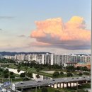 고운손병원 이미지