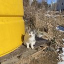 까치울초등학교 이미지