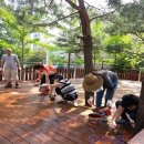 내각7리(원일대궐터) 이미지