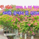 고려동유적지 티스토리