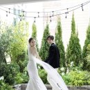 비마이스튜디오