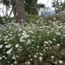 남원명가 이미지