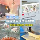 행운배달식당 | 포항 오션뷰 풀글램핑&펫글램핑 부산근교 애견동반글램핑 g2방 후기 근처맛집까지 총정리