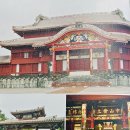 세븐일레븐 양산고점 | 일본 오키나와 하늘을 나는 피카츄 프로젝트 - LeaLea 1일 관광투어 레아레아 츄라버스 오키나와 일일...