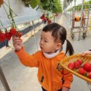 유안농장 이미지