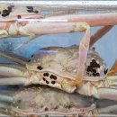 안동횟집 이미지