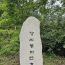 강씨봉자연휴양림 이미지