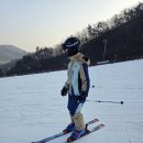 더고글 | 톰디어 스키고글 스노우보드 전용 렌즈 후기