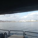 아리수가든 이미지