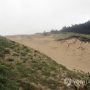 동양정밀 이미지