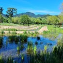 거창창포원 이미지