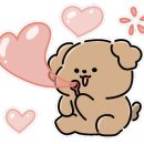 훈이애견 이미지