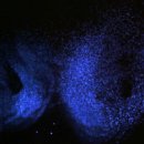 선명모텔 이미지