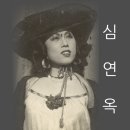 완산노-1 Daum카페
