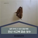 구로-현장-구로-495 | 안산 석고벽 파손 복원 | 넓은 면적도 티 없이 정밀 복원!